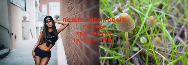 2c-b Белоозёрский