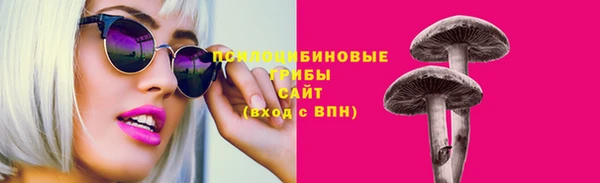спиды Белокуриха