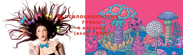 спиды Белокуриха